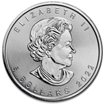 Foto de 2022 CANADA 5$ HOJA DE ARCE 1 OZ